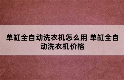 单缸全自动洗衣机怎么用 单缸全自动洗衣机价格